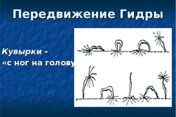 Kraken 12at