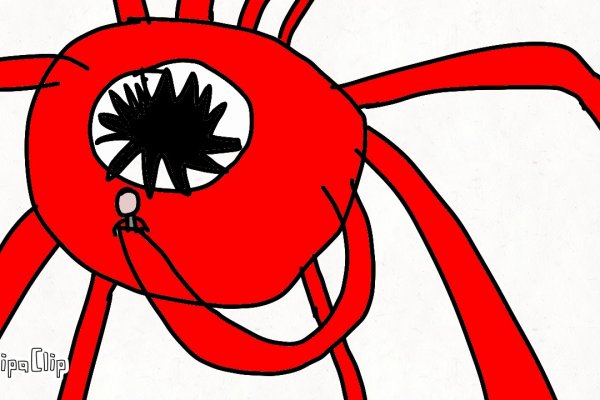 Kraken площадка