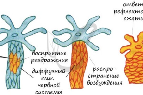 Не зачисляются деньги на кракен