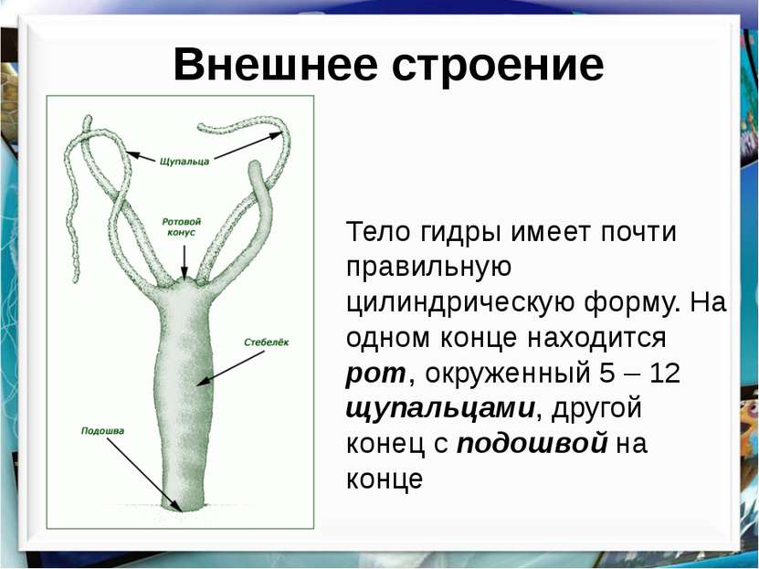 Кракен не работает сегодня